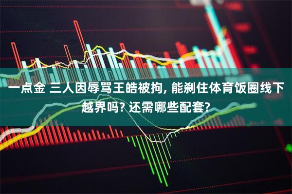 一点金 三人因辱骂王皓被拘, 能刹住体育饭圈线下越界吗? 还需哪些配套?