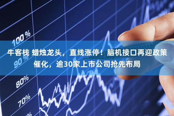 牛客栈 蜡烛龙头，直线涨停！脑机接口再迎政策催化，逾30家上市公司抢先布局